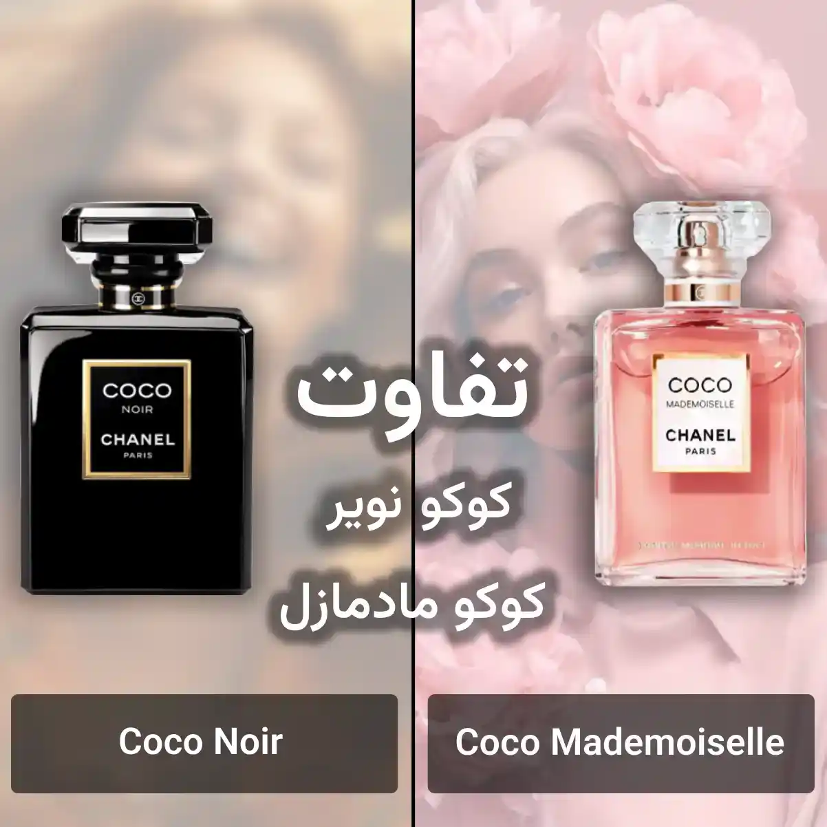 مادمازل و نویر